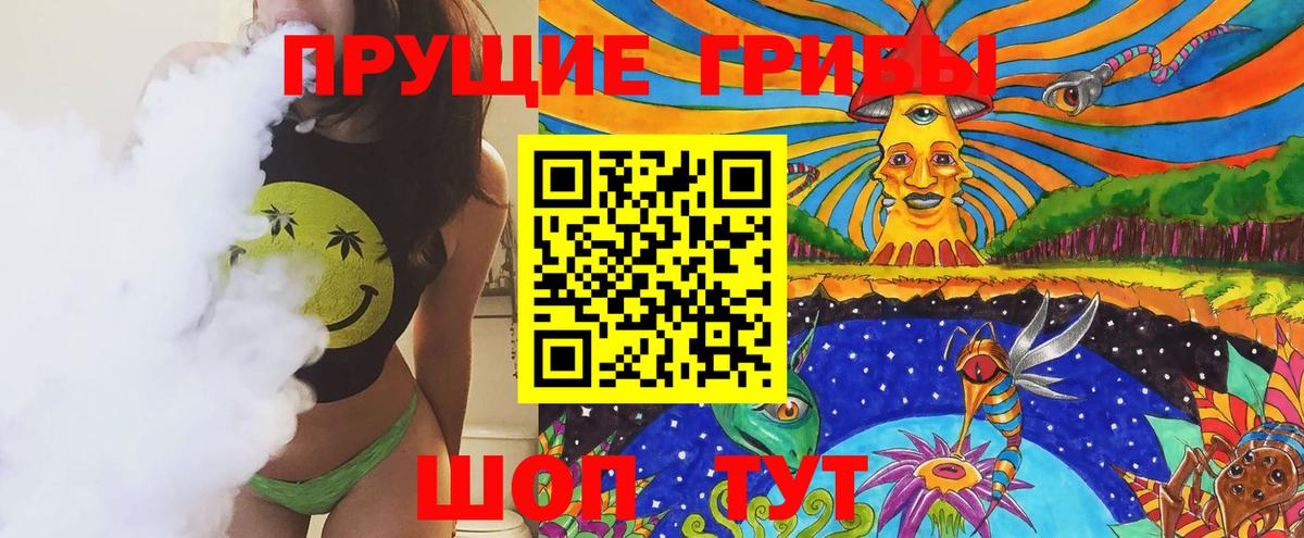 Волхов  Галлюциногенные грибы прущие грибы  Вход с VPN 